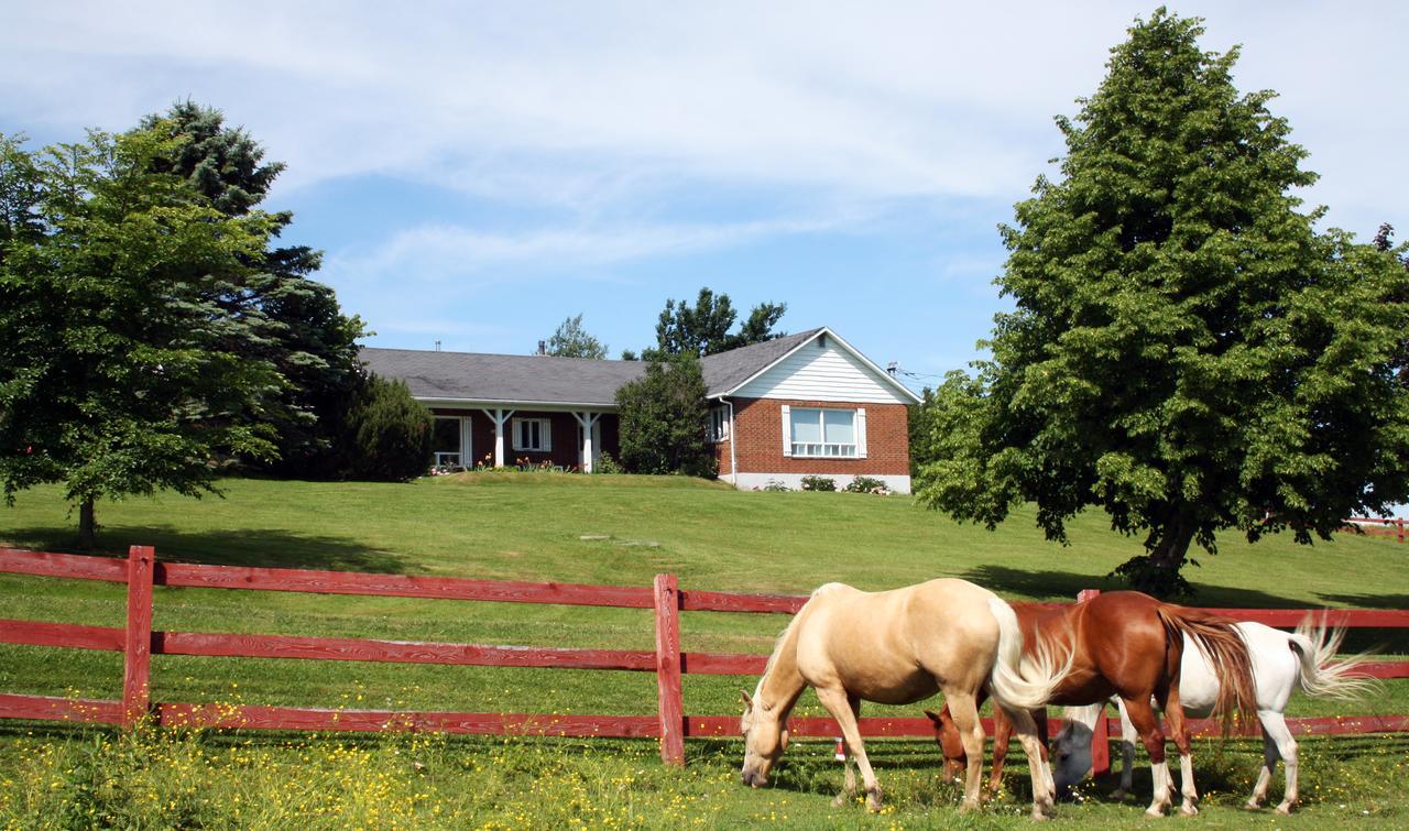 Bed & Breakfast Ranch St-hubert *